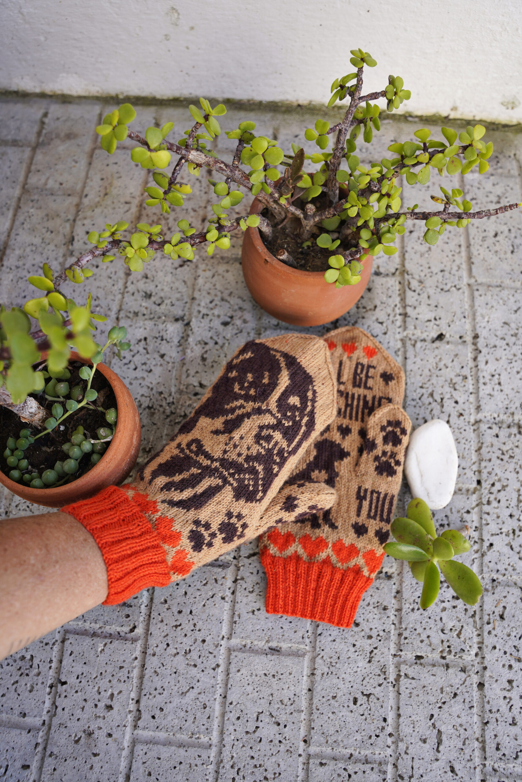 Rottweiller – nedladdningsbart mönster - Bild 4
