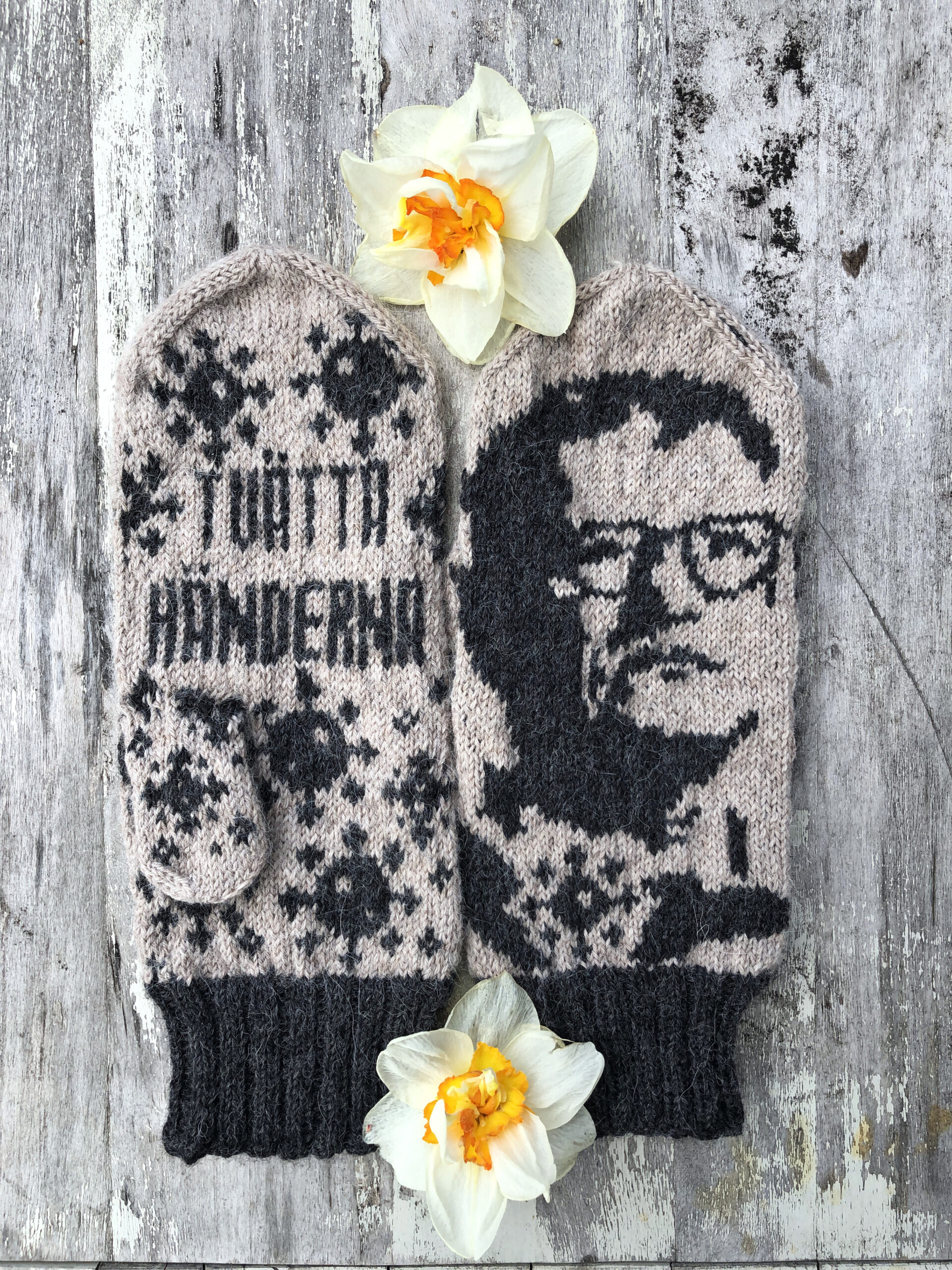 Anders Tegnell - nedladdningsbart mönster