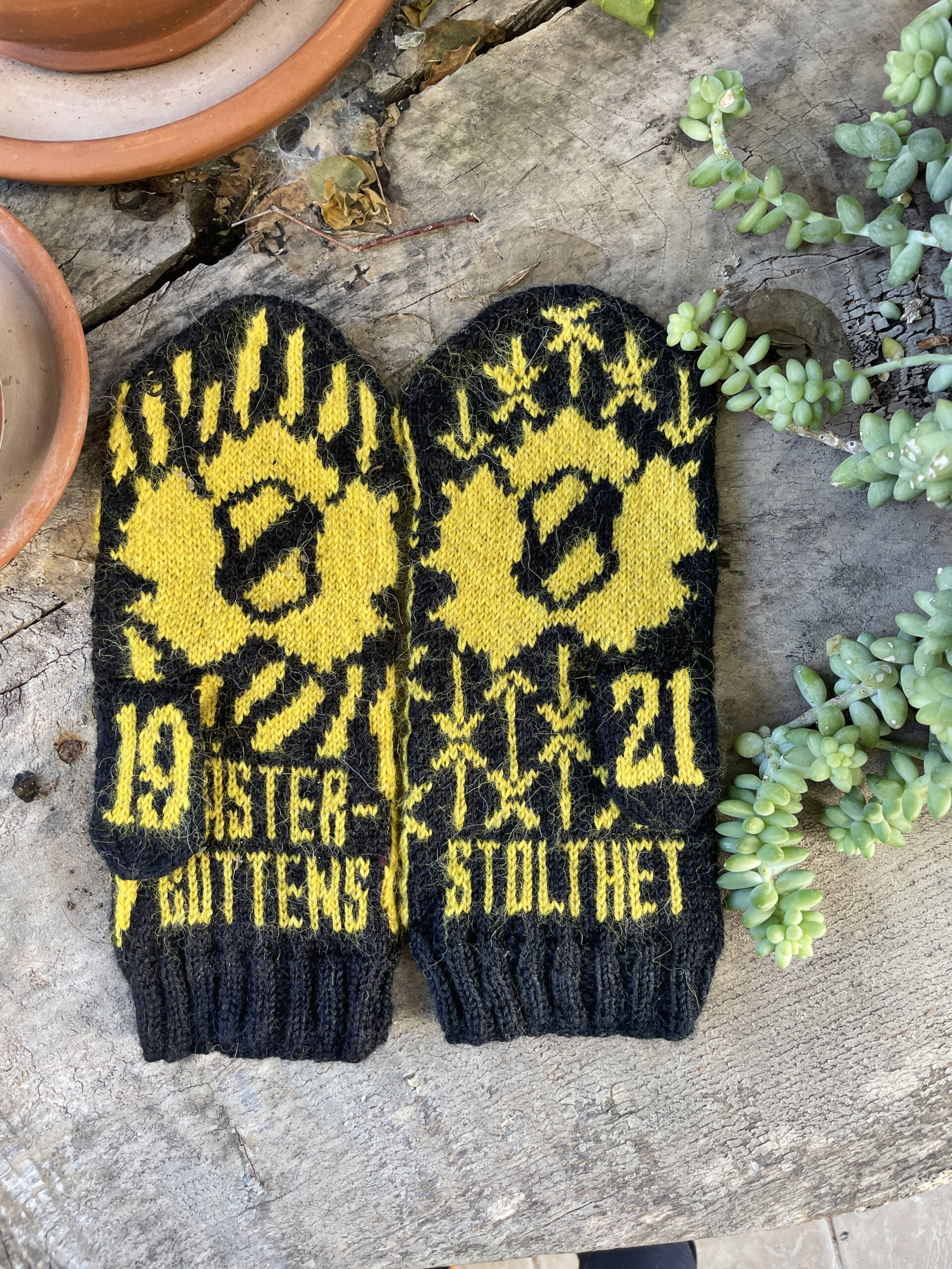 Skellefteå AIK – nedladdningsbart mönster - Bild 2