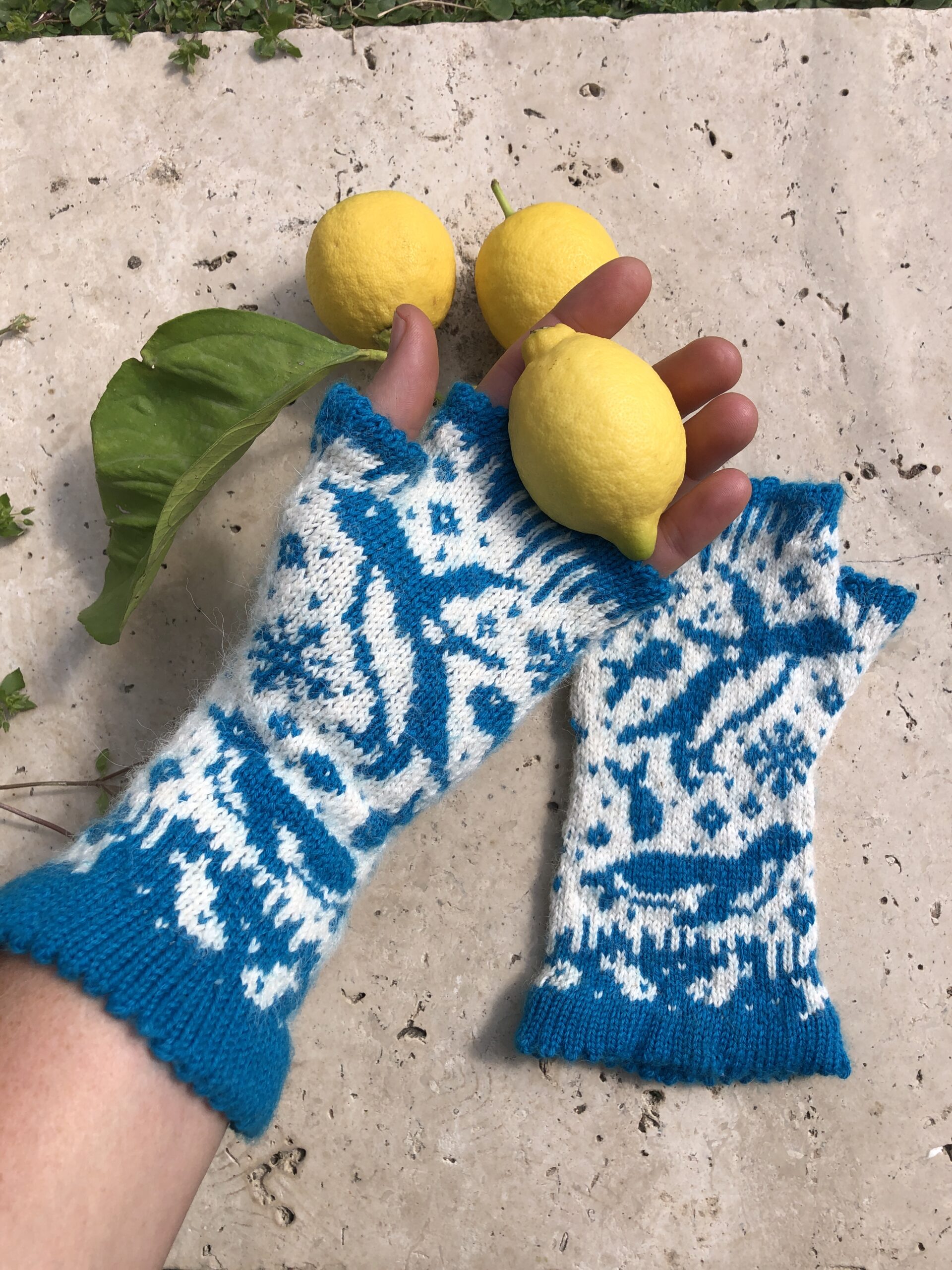 Penguin fun fingerlösa - nedladdningsbart mönster
