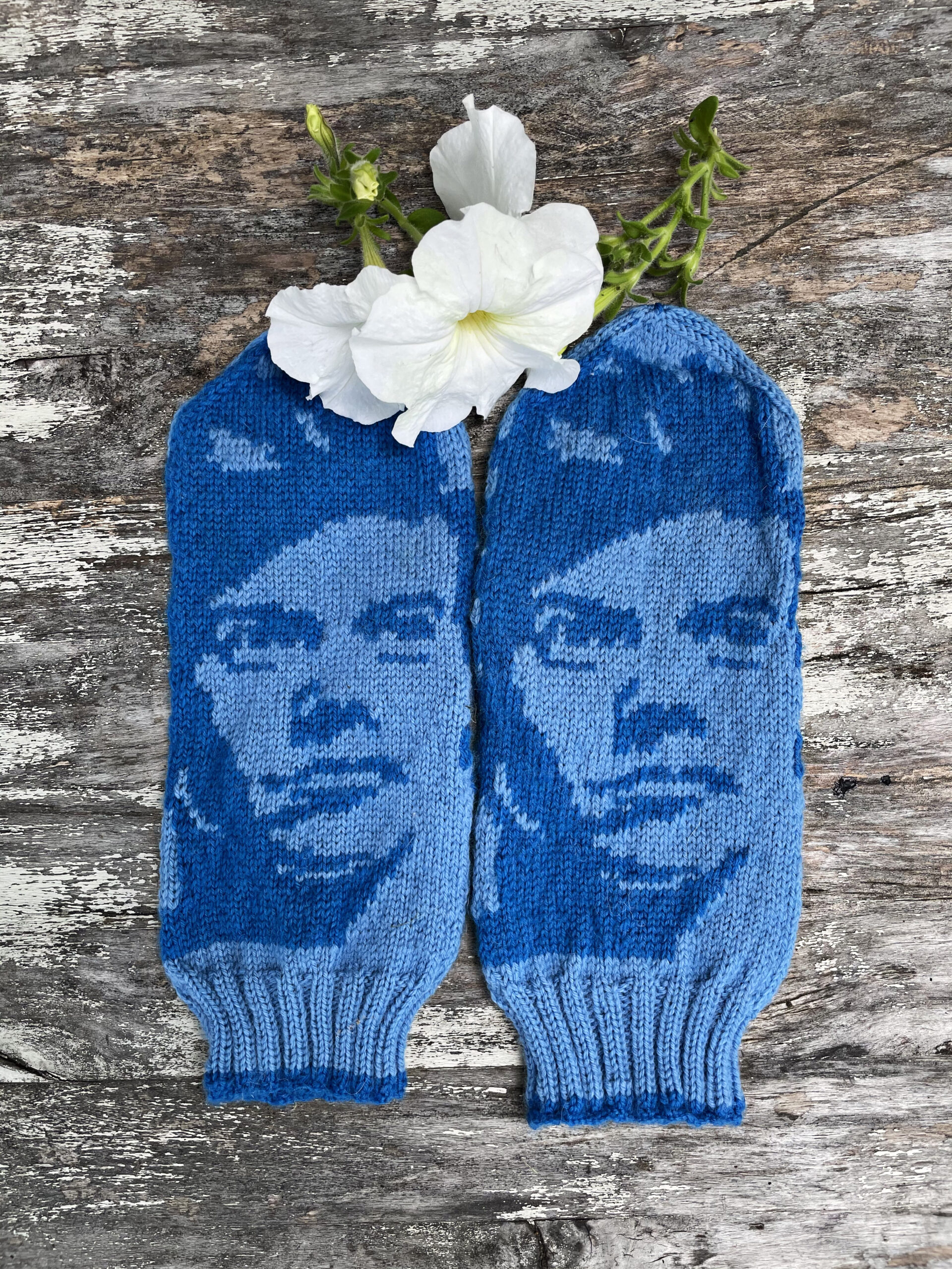 Harry Styles - nedladdningsbart mönster