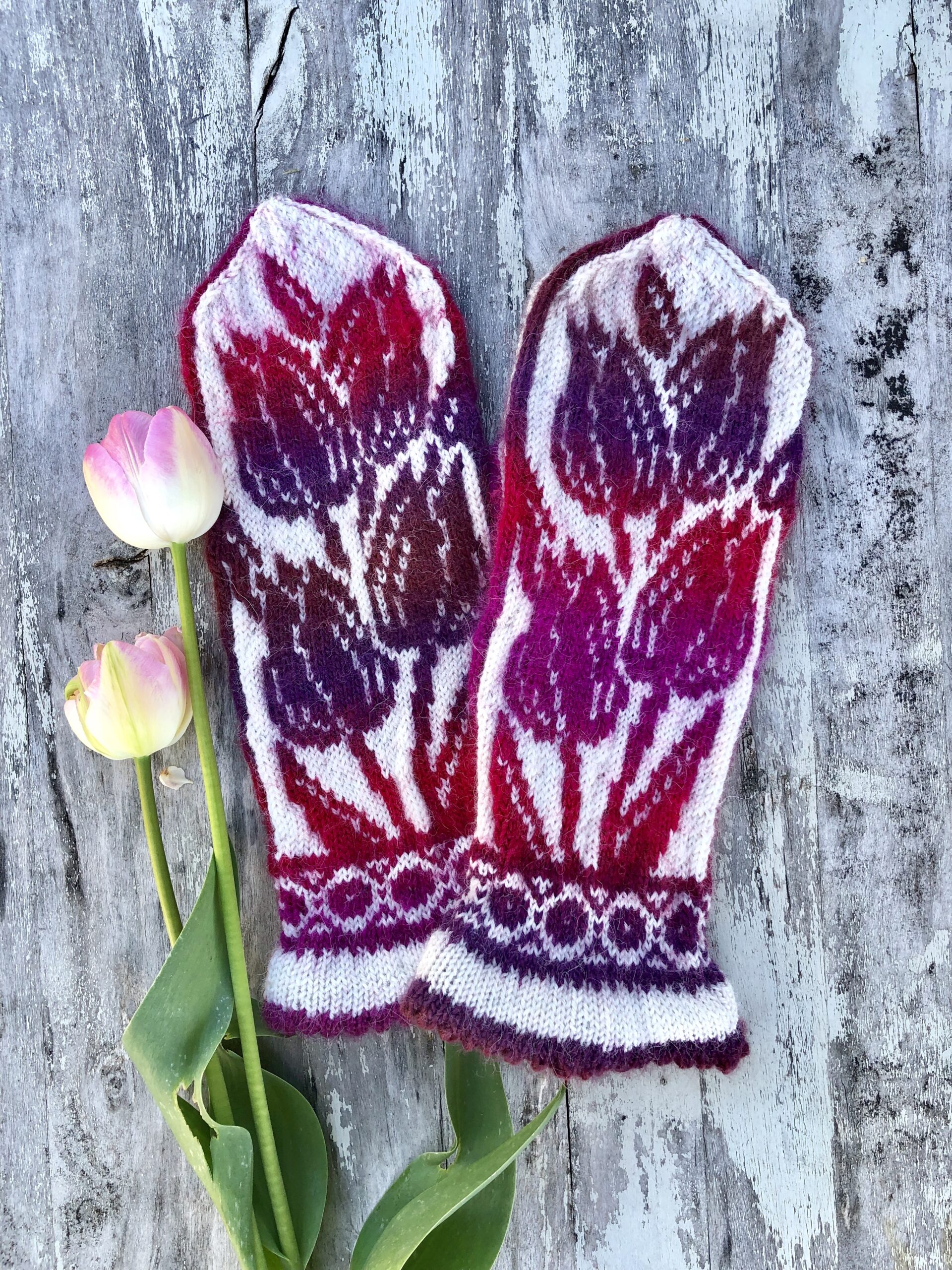 Tulip garden – nedladdningsbart mönster
