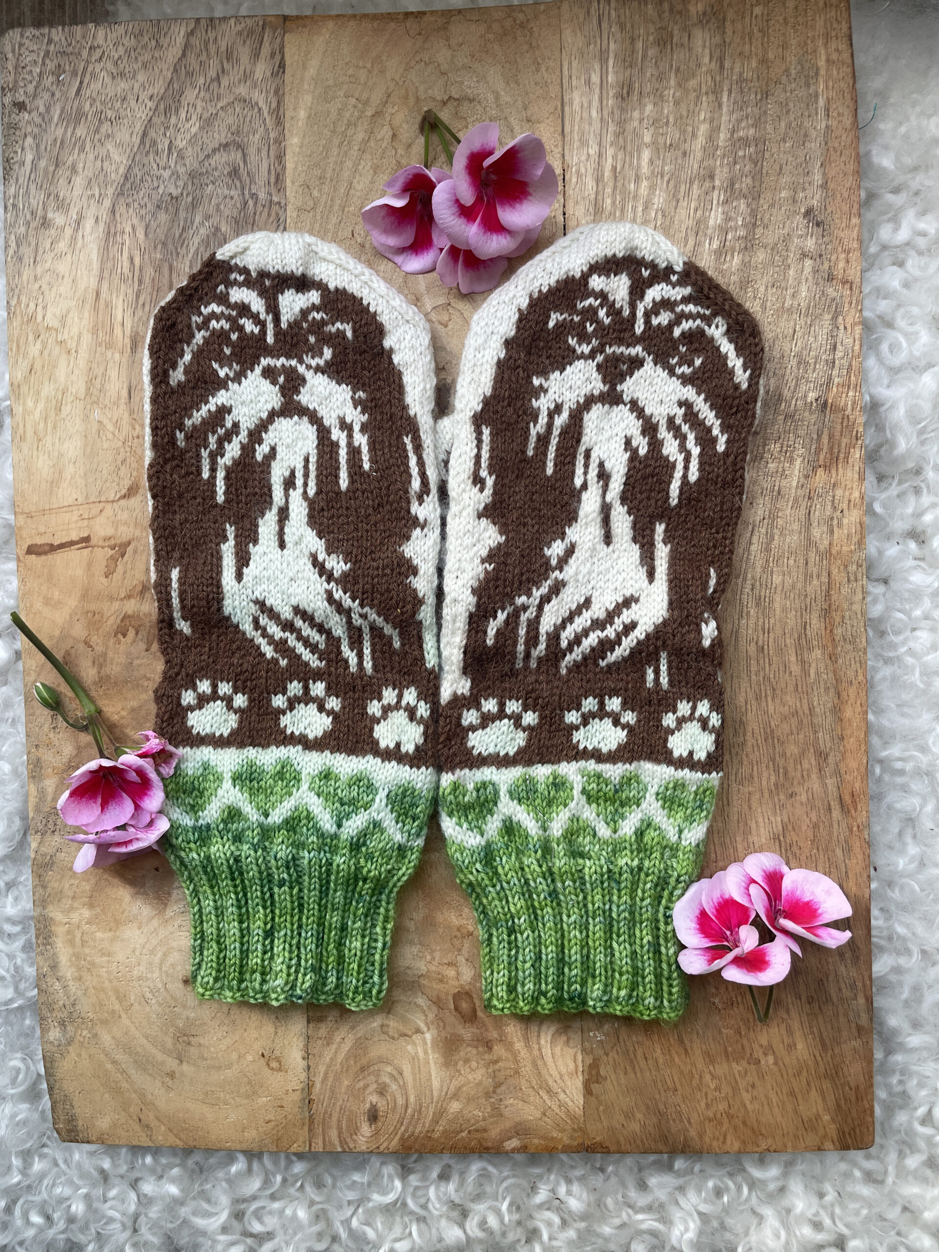 Shih tzu – nedladdningsbart mönster