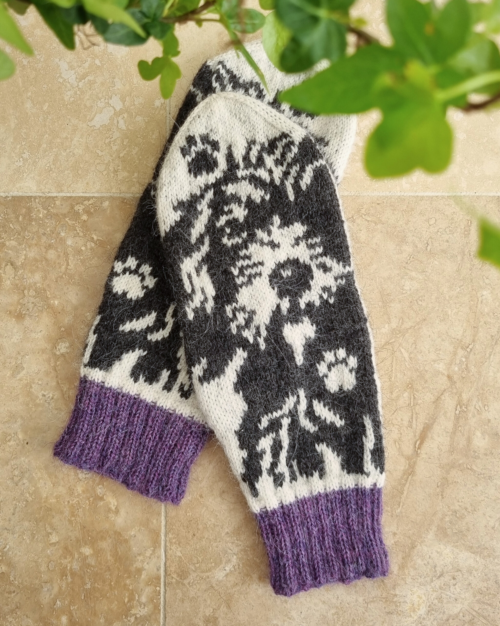 Cockapoo - nedladdningsbart mönster - Bild 5